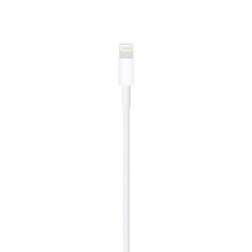 Lightning Cable Apple MUQW3ZM/A 1m USB A Male to Male - MUQW3ZM/A