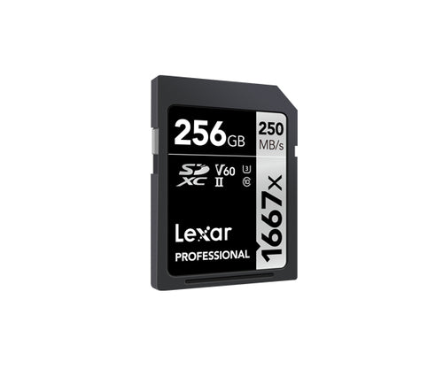 Lexar LSD256CBNA1667 memory card