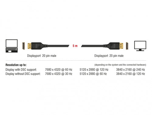 DeLOCK 85660 DisplayPort cable