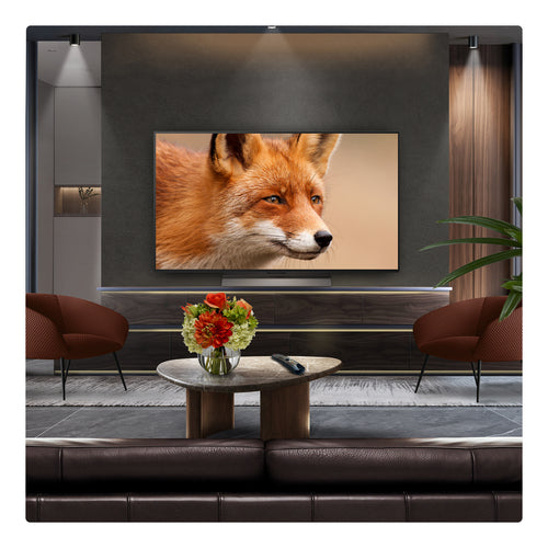 LG OLED48C56LB.AEK TV