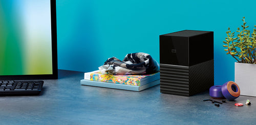 Western Digital My Book Duo disk array