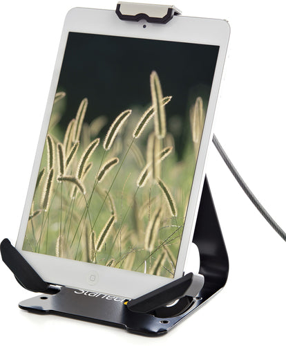 StarTech.com Adjustable Tablet Stand SECTBLTDT - Locking Holder for 7.9"-13" Tablets