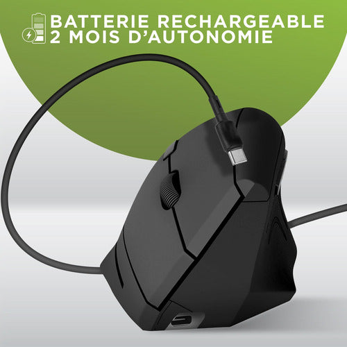 T'nB MWERGOVBTR mouse