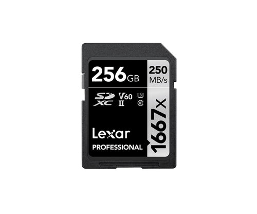 Lexar LSD256CBNA1667 memory card