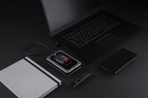 DataLocker DL4 FE